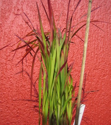 20080925_0001_6.JPG