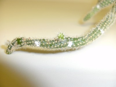 BILD0004.JPG