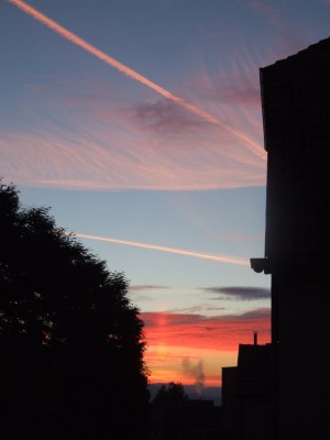 DSCF8205.JPG