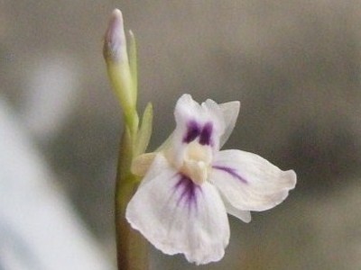 DSCI0032 - Kopie.JPG