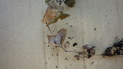 september 2010 028.jpg