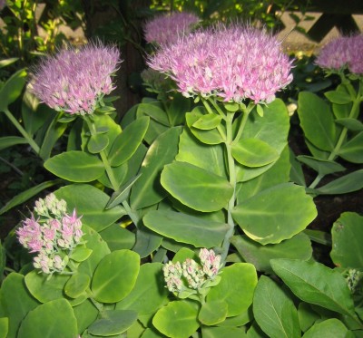 20100921_0001_20.JPG
