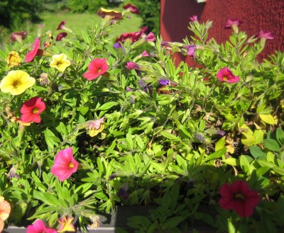 20100921_0001_5.JPG