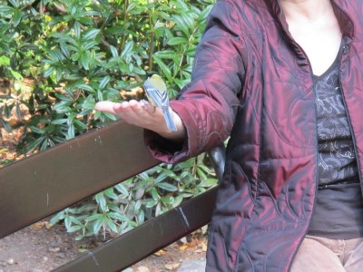 dresden 21.9. 099.JPG