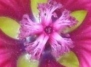 DSCI0043 - Kopie.JPG