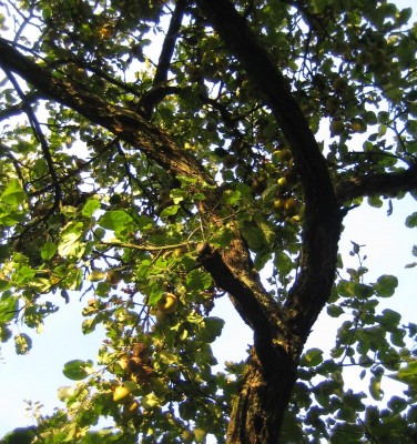 20100922_0001_3.JPG