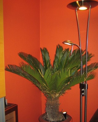 20100922_0001_20.JPG