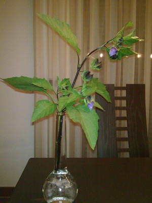 Bild208.jpg