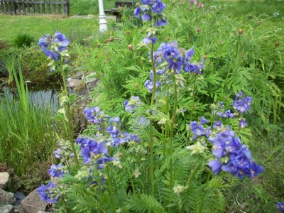 RenateGeburtstag 021.jpg