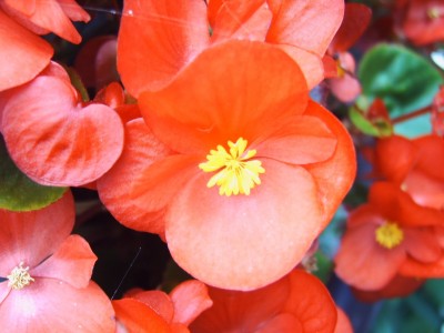 image55.jpg