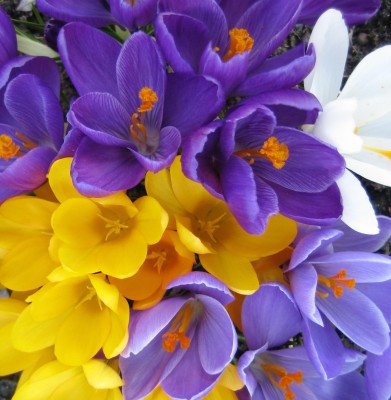 20100318_0001_8.JPG