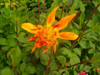 100D0471.JPG