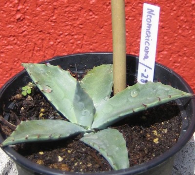 20090720_0001.JPG