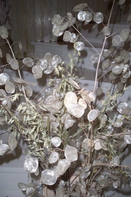 100_4038.JPG