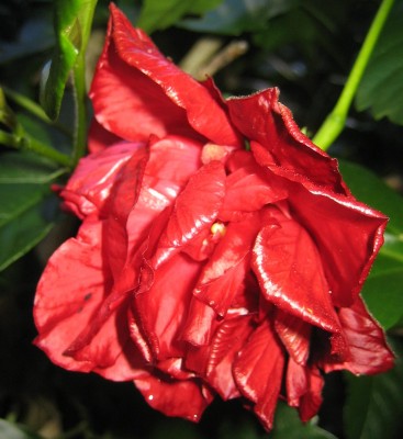 20100925_0001_8.JPG