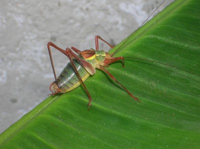 DSCN1479.JPG