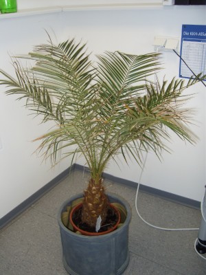DSCI02823kl.JPG
