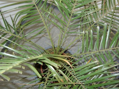 DSCI0282kl.JPG