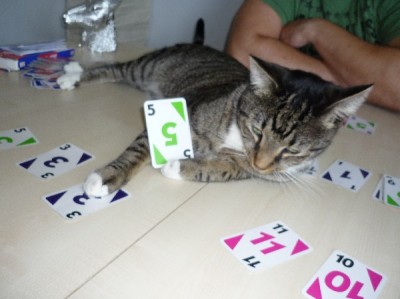 16.08 (11)_600x600_100KB.jpg