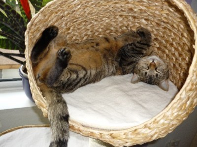 08_2010 (17)_600x600_100KB.jpg