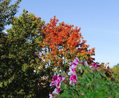 Herbst 2010.jpg