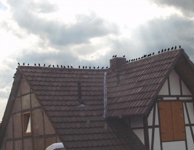 Stare-auf-Haus.JPG