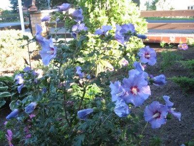 Sept.2010 021.jpg