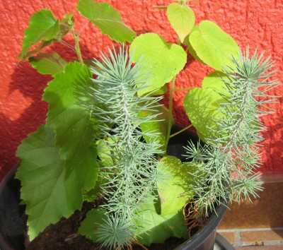 20101003_0001.JPG
