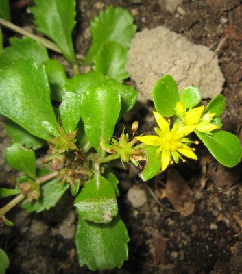 20100922_0001_7.JPG