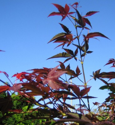 20101003_0001_8.JPG