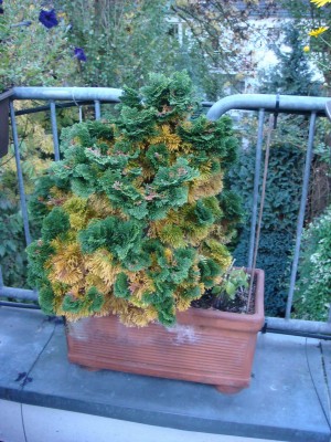 Bild 002.jpg