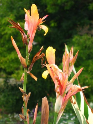IMG_8848.JPG