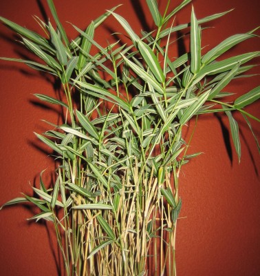 20101005_0001.JPG