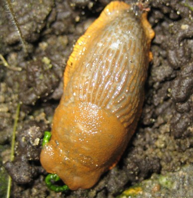 20101003_0001_4.JPG