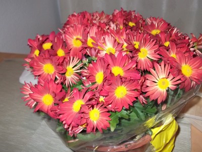 DSCF0234.jpg