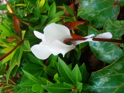 100D0836.JPG