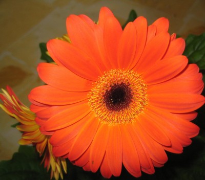 20100925_0001.JPG