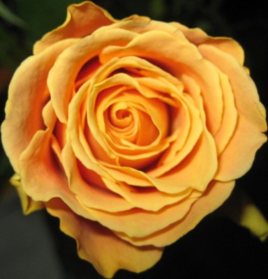20101008_0001_2.JPG