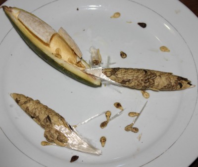 31. Unbekannter Ranker, 2010_10_08_1821.JPG