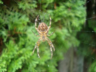 DSC03055.JPG