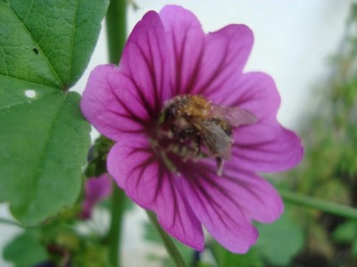 DSC03005.JPG