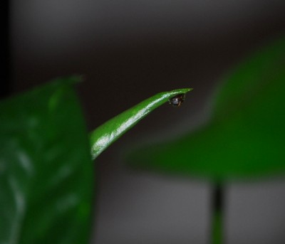 Bildart 002_600x600_100KB.jpg