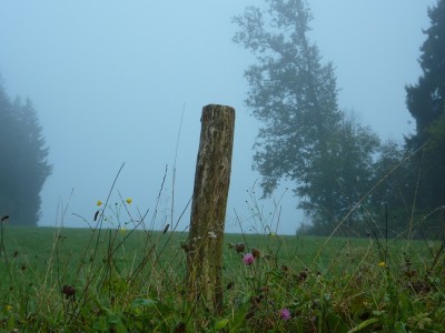 Grenzpfosten.jpg