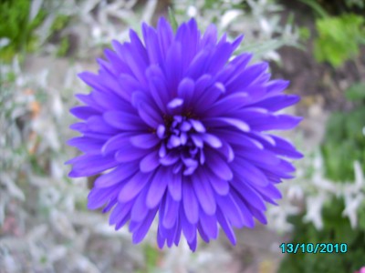 Oktober 2010 013.jpg