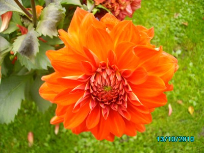 Oktober 2010 010.jpg