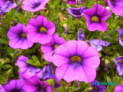 Oktober 2010 004.jpg