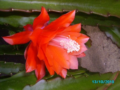 Oktober 2010 001.jpg