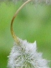 DSCI0012 - Kopie.JPG