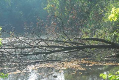 Herbstzauber 052yy.jpg