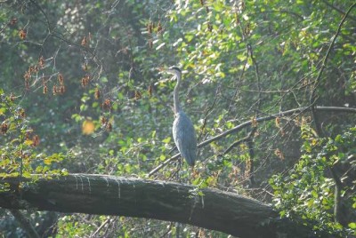 Herbstzauber 056yy.jpg